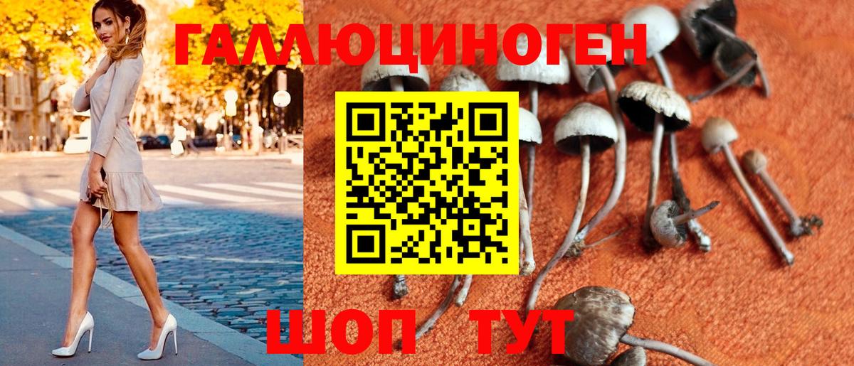 Псилоцибиновые грибы Psilocybe Гусь-Хрустальный